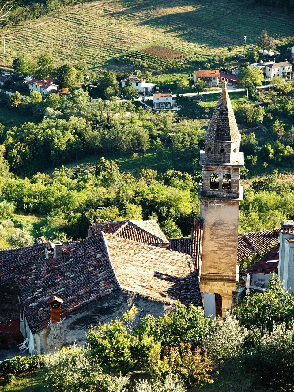 Motovun Hills